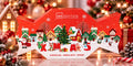 Coffret soins Édition de Noël – IDC Institute